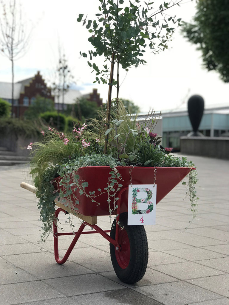 Skaffa din guide över Borås Stads sommarblommor!