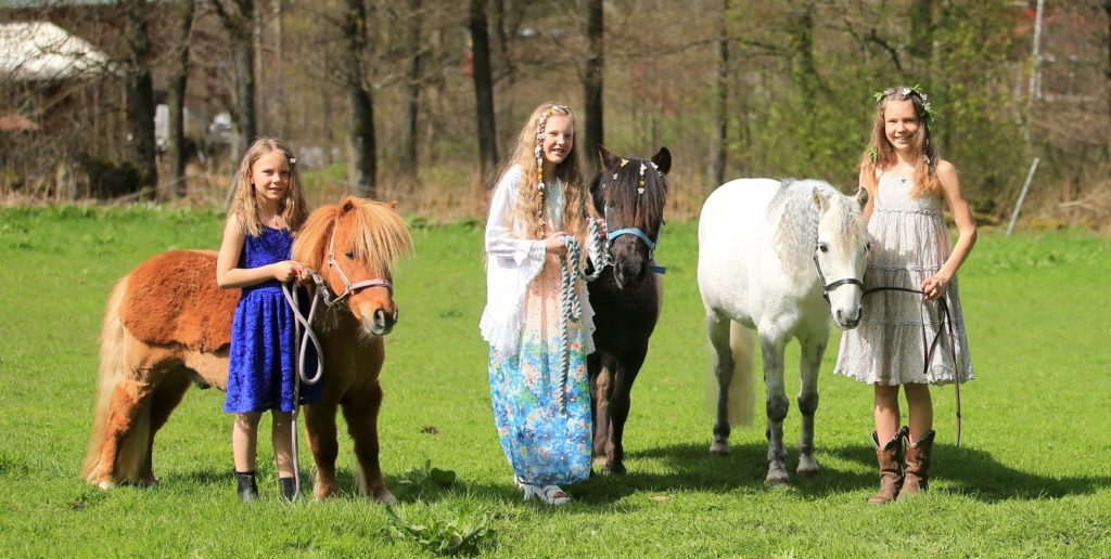 Ponnyridning i Stadsparken